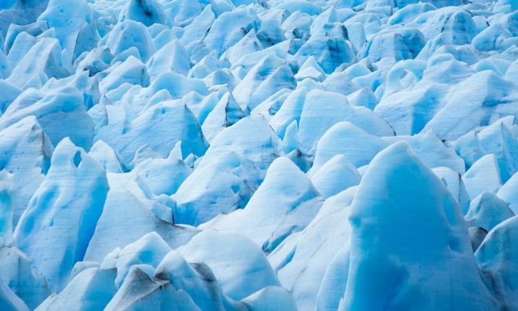 Grey Glacier Navigation (transport + catamaran ticket)